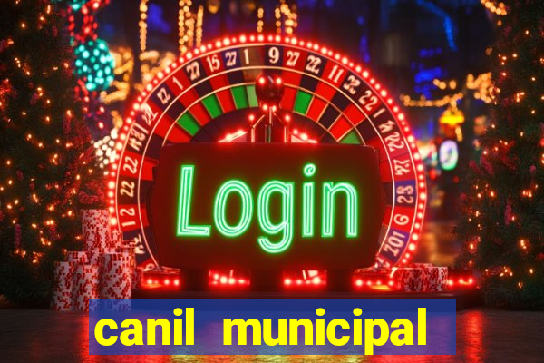 canil municipal porto alegre